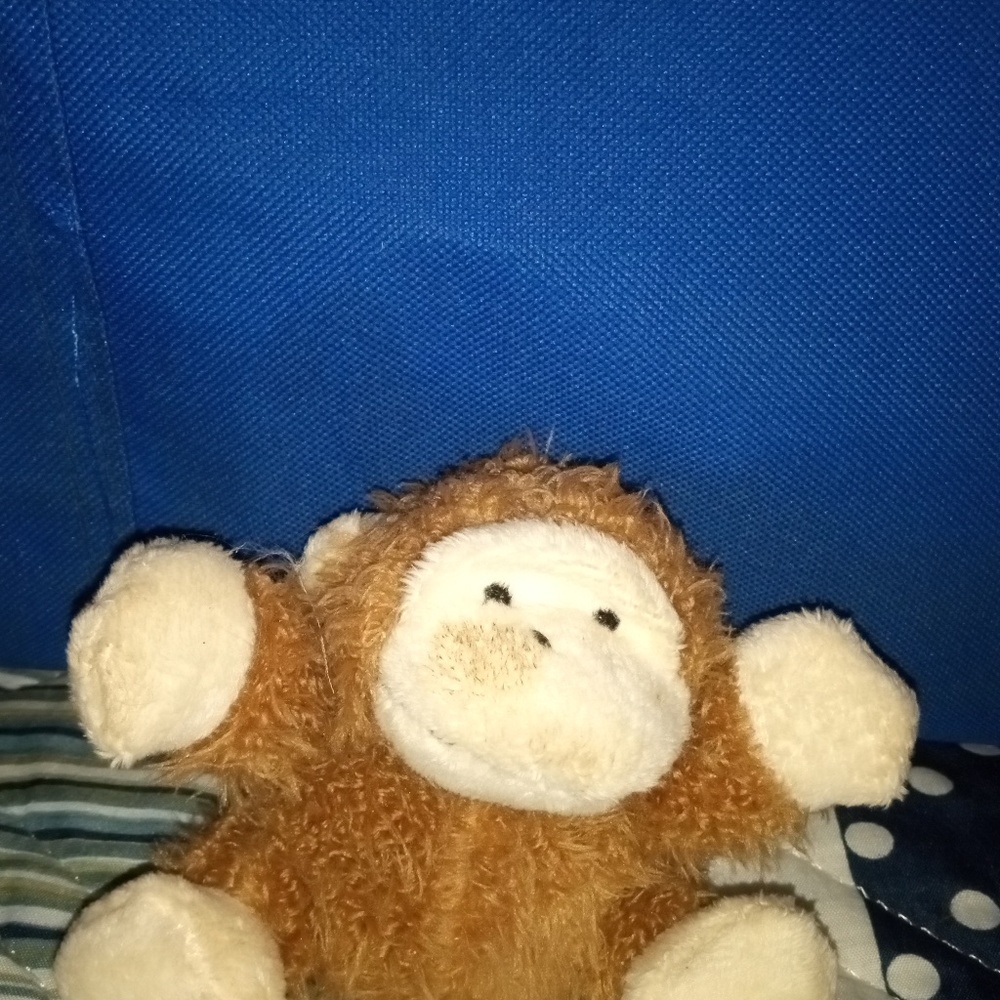 ADORABLE NO NAME TINY BABY MONKEY